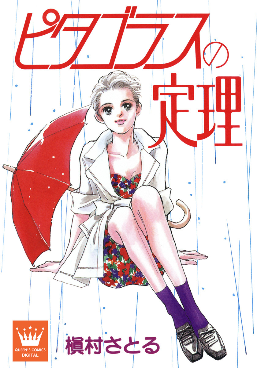 ピタゴラスの定理